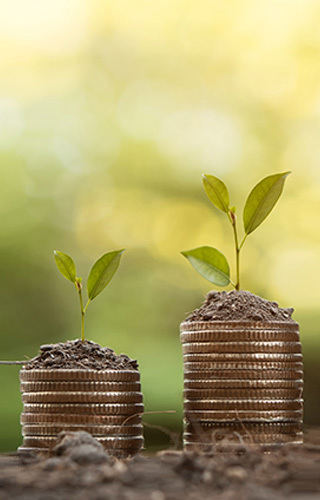Zertifikatslehrgang Market Access for you - Insider Know-how & Best Practice - Modul 3